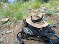 Apache Wilderness / Escudilla Mt. Jun 2006