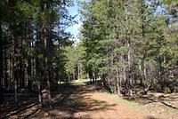 Tom's Creek Camping Trip