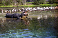 Flordia